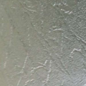 Meet your Posher, Cassidy